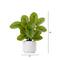 12" Artificial Calathea Plant with Decorative Planter